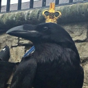 ✟し۵иǝłע Ҝи|ɢн† by Astronom_m