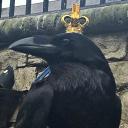 ✟し۵иǝłע Ҝи|ɢн† by Astronom_m