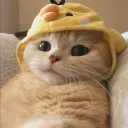 mefii00
