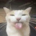 kevinn7834