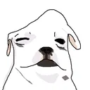 ashley_is_here