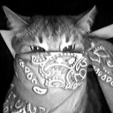 Discord Avatar
