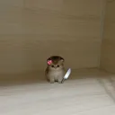 aleksiia