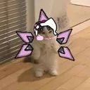 ice_tsuki