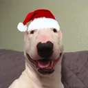 xzyfn