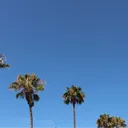 lyod.