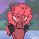 lucaapuca