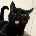 squidypal
