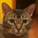 lucifik#7153's avatar