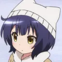 neoarashi