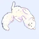 snowydragony
