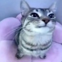 avatar Wagoo Wagoo ツ