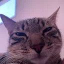 leokillas avatar