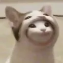 deathsdoa
