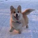 floofy_unicorn