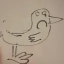 turkeywing