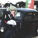 apivas