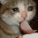 _borororo