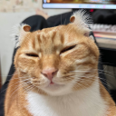 sos77159#4928's avatar