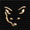 .sandfox
