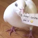 lilpika9273