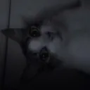 El-Lucas§ avatar
