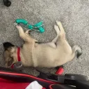 worldzstar
