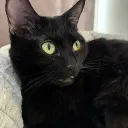 katerpay