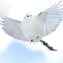 Malcay's Avatar