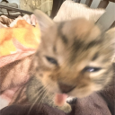 avatar AmJustaShrimp🦐