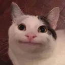 teheb
