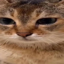 avatar boyskissing2005