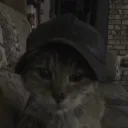 whylouis
