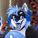 reverbthehusky