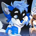 reverbthehusky