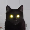 emcscared