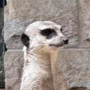raithan