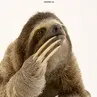 slothboylive