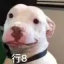 nicksgan