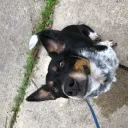 azuresky101's Avatar