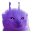 oohwo