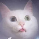 xxpoomaanxx