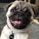 StormRm10's Avatar