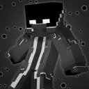 spr_ingg