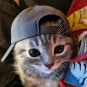 Discord Avatar