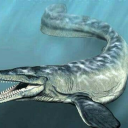 dinoluc