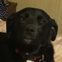 satuurnn