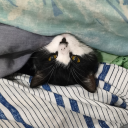 Térfor