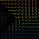 vectorfield