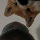 .maru
